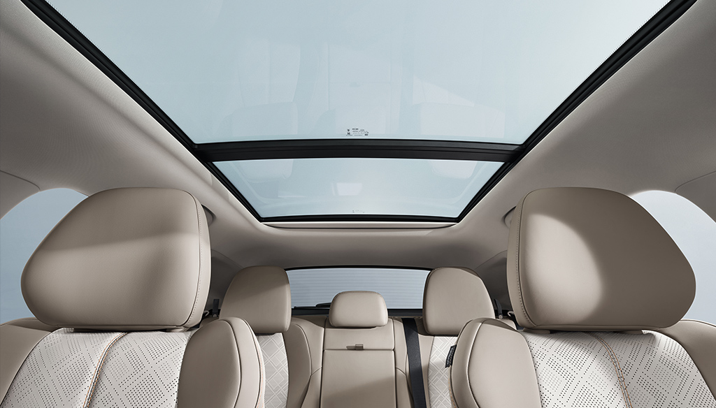 BYD ATTO 3 EVO -Panoramisch schuifdak - bij Louwman BYD