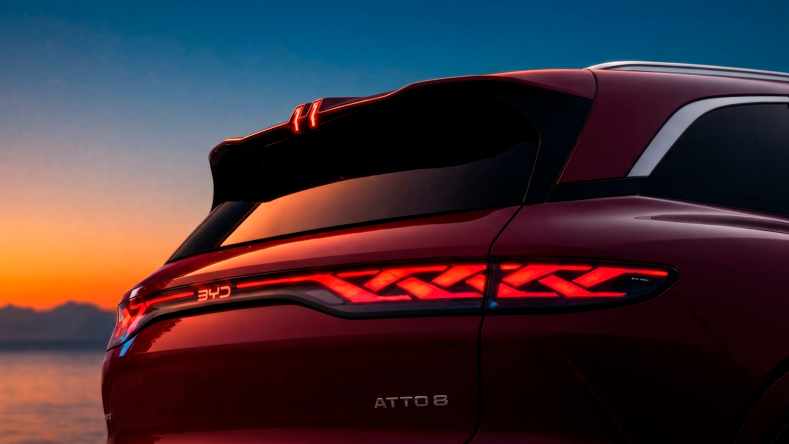 Achterlichten BYD ATTO 8